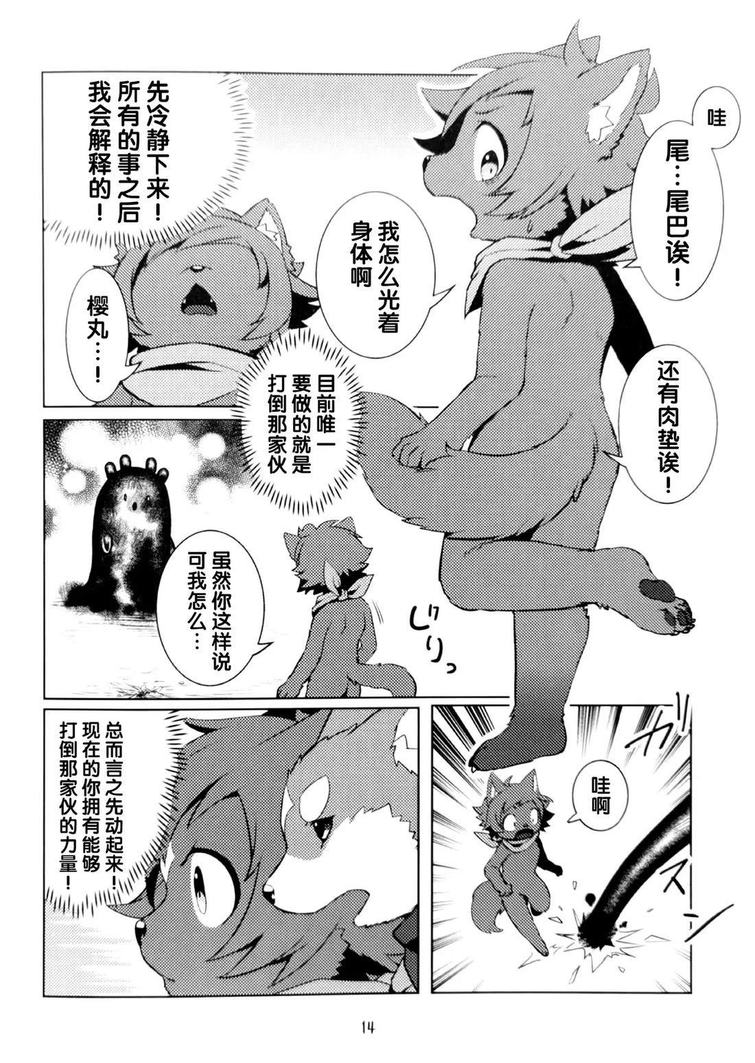 第13页