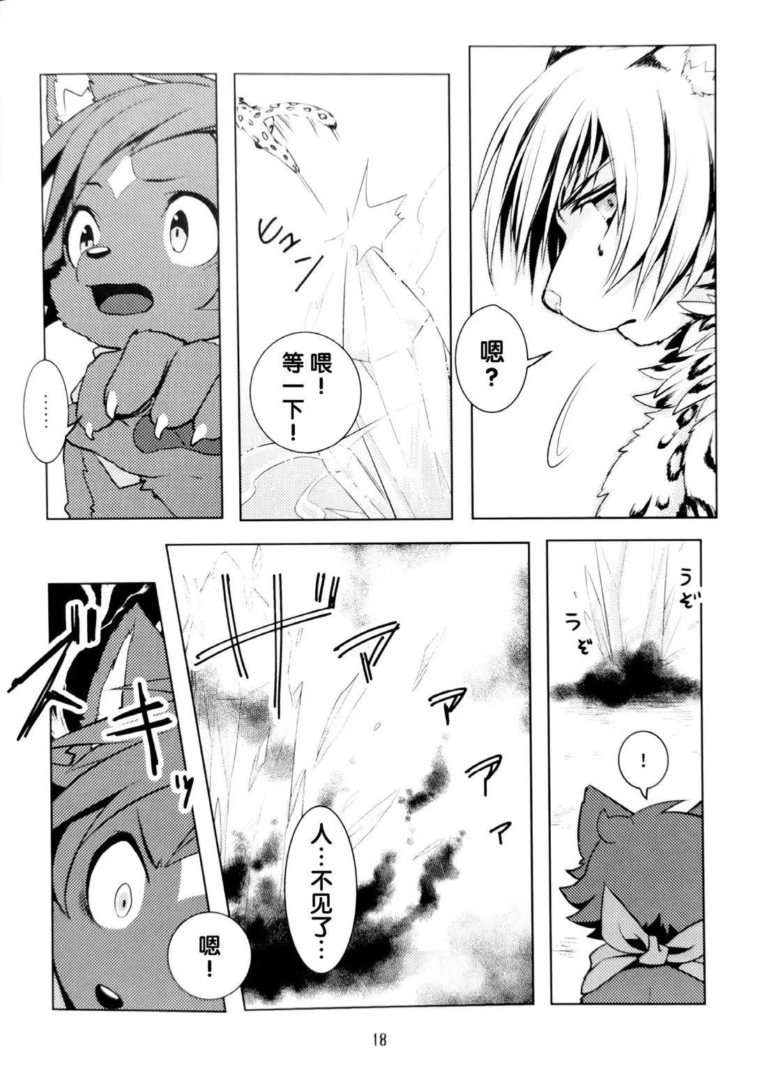 第17页