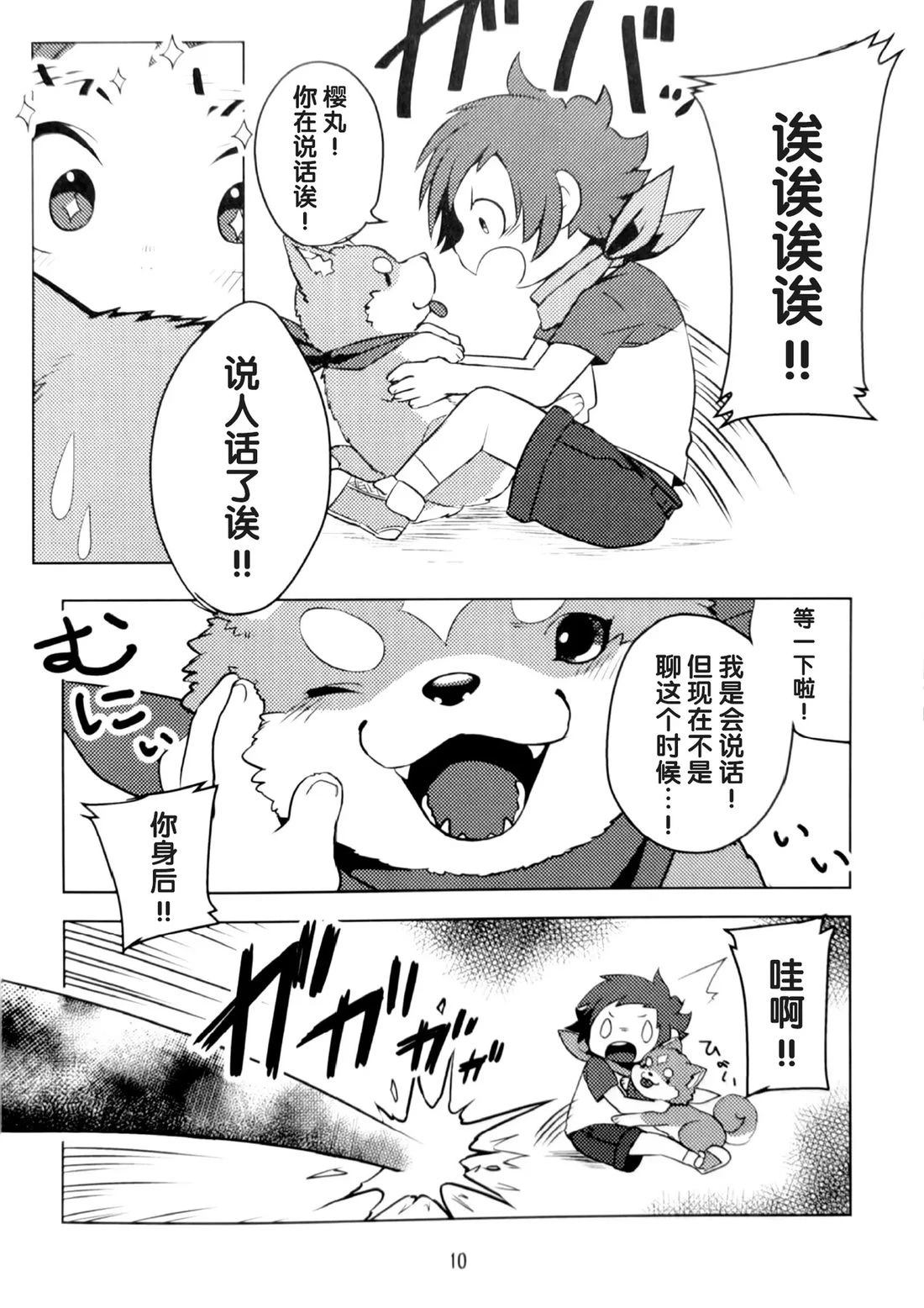 第9页