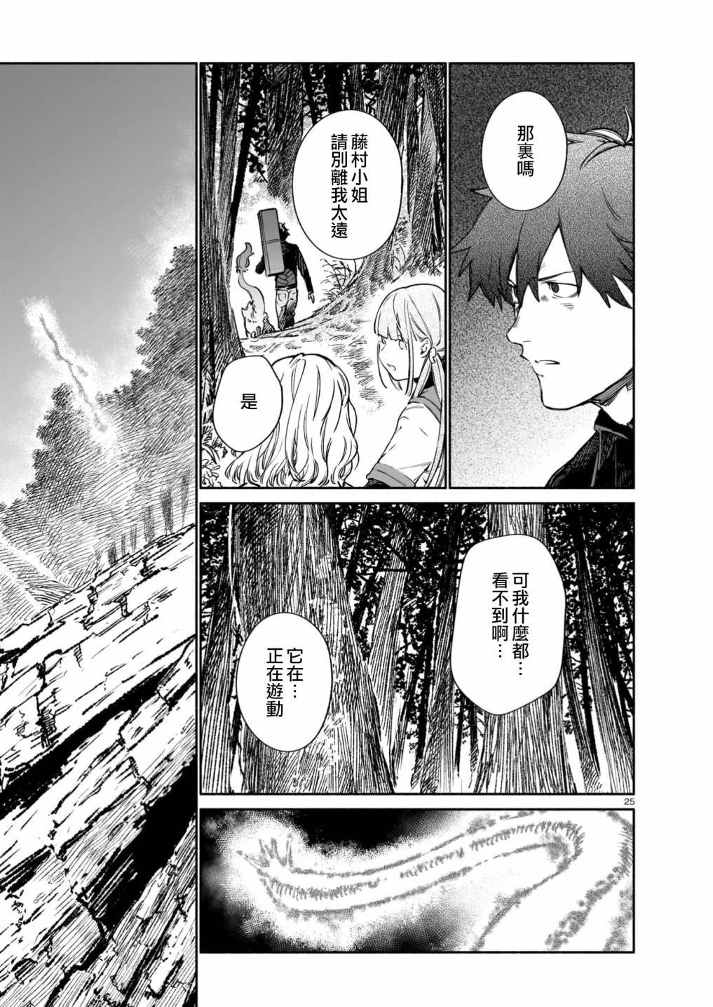 第25页
